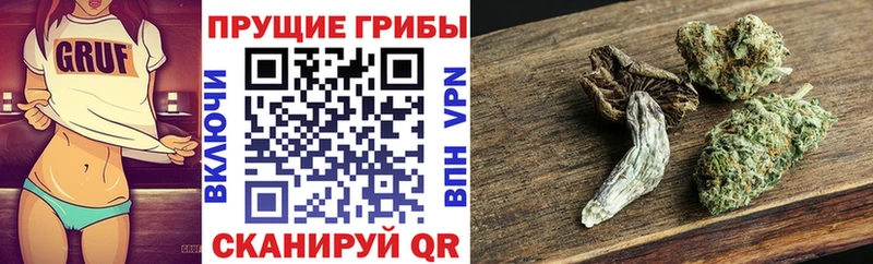 где найти   Бирюч  Псилоцибиновые грибы Psilocybe 